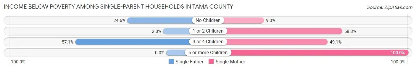 Income Below Poverty Among Single-Parent Households in Tama County