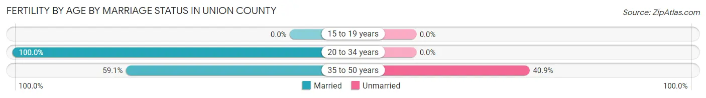 Female Fertility by Age by Marriage Status in Union County
