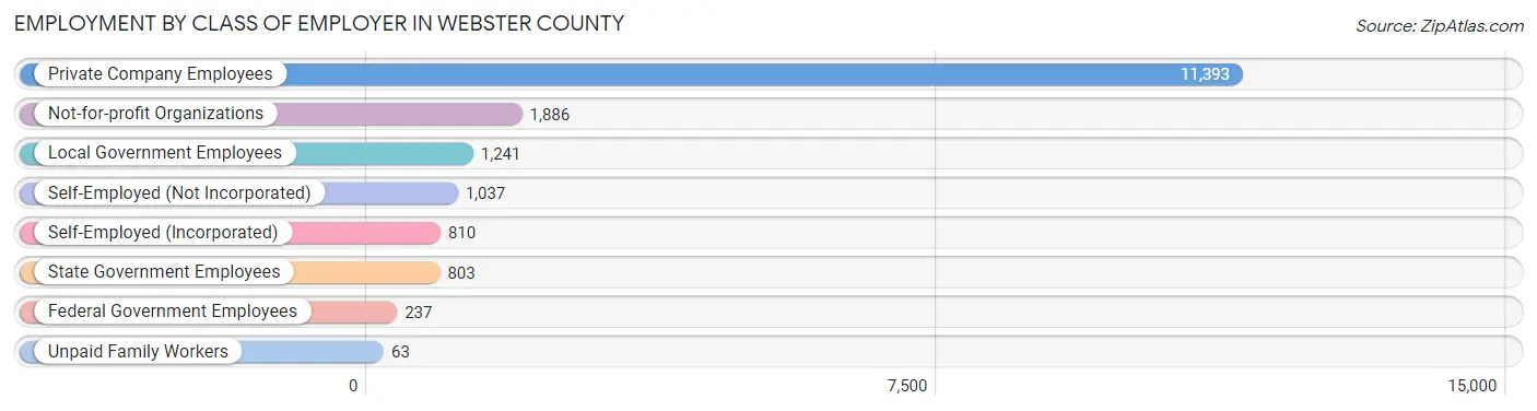 Employment by Class of Employer in Webster County