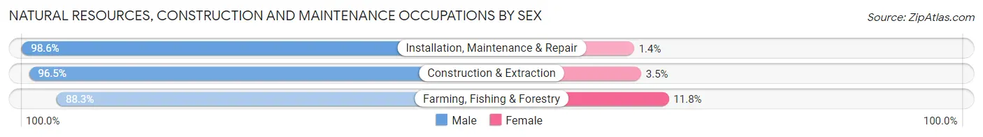 Natural Resources, Construction and Maintenance Occupations by Sex in Woodbury County