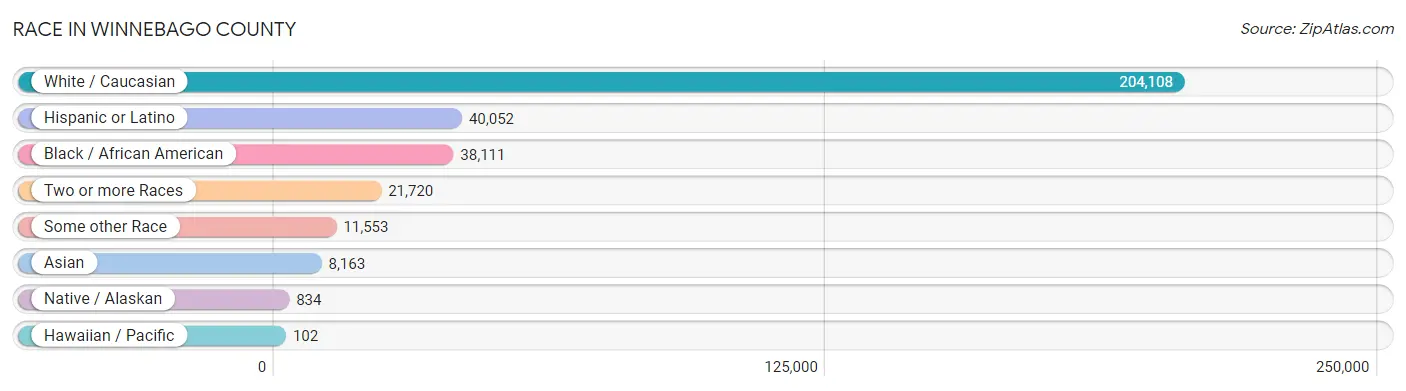 Race in Winnebago County