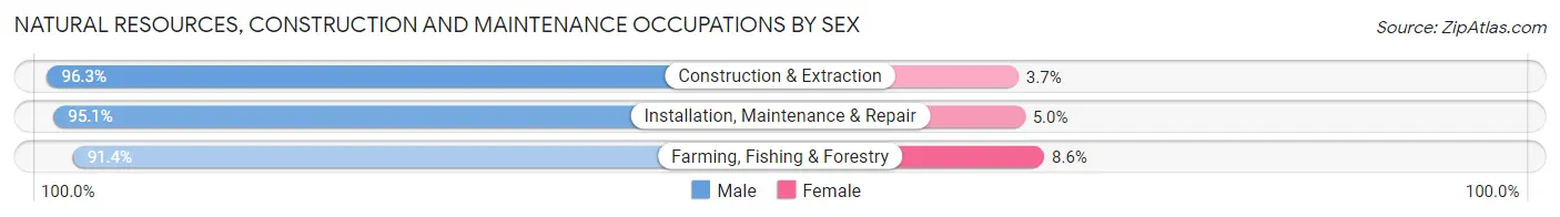 Natural Resources, Construction and Maintenance Occupations by Sex in Benton County