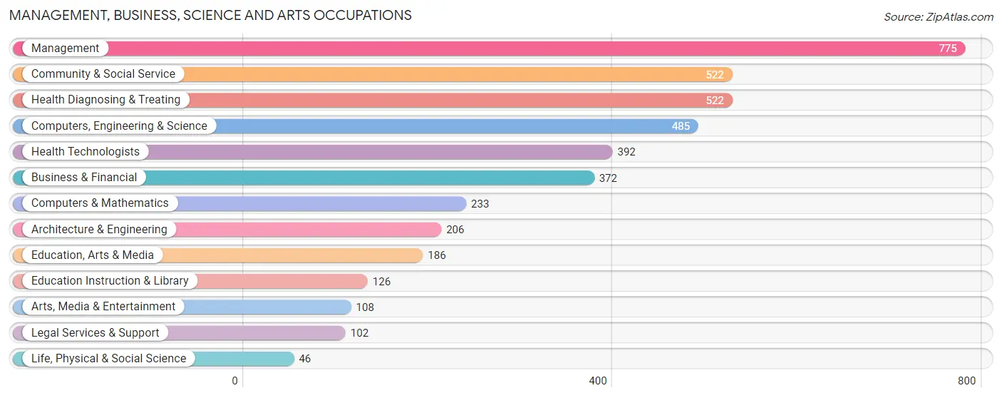 Management, Business, Science and Arts Occupations in Brown County