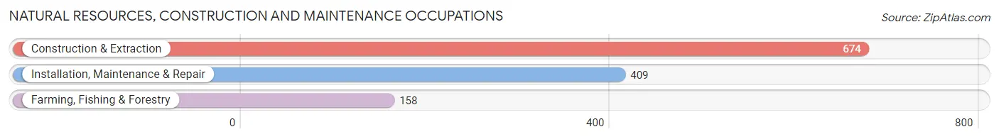 Natural Resources, Construction and Maintenance Occupations in Carroll County