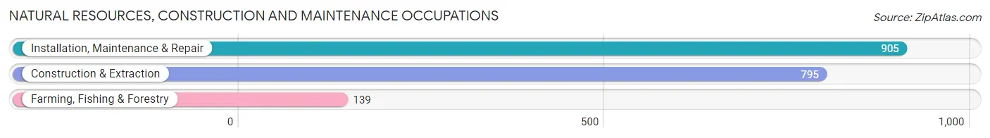 Natural Resources, Construction and Maintenance Occupations in Cass County