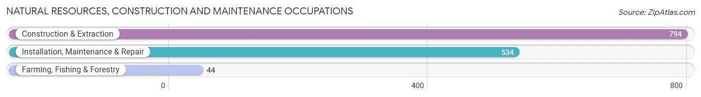 Natural Resources, Construction and Maintenance Occupations in Clay County