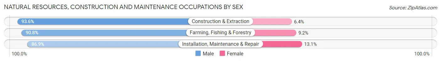 Natural Resources, Construction and Maintenance Occupations by Sex in Clinton County