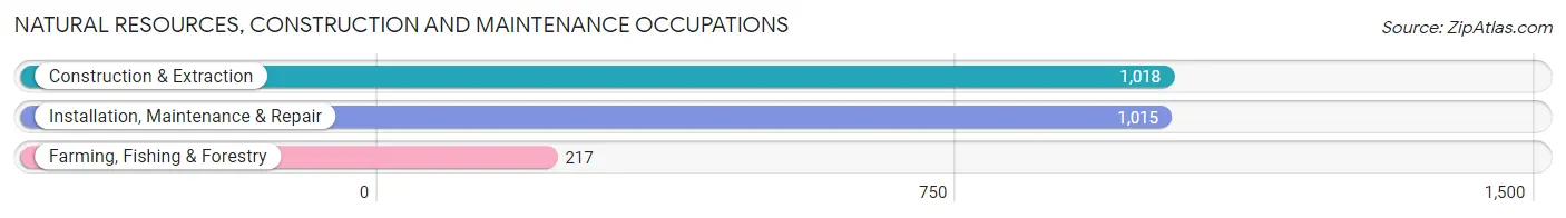 Natural Resources, Construction and Maintenance Occupations in Clinton County