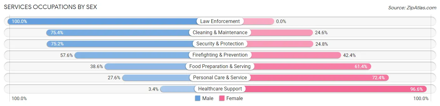 Services Occupations by Sex in Clinton County