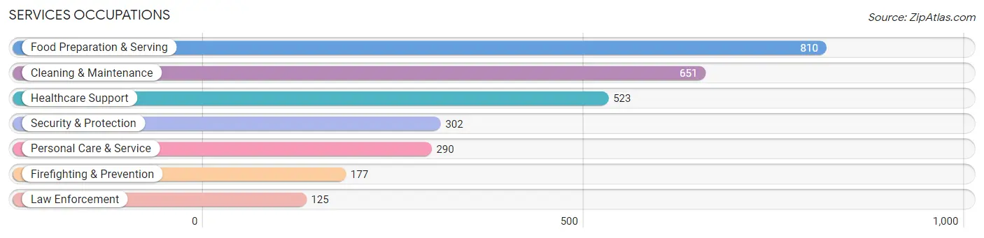 Services Occupations in Clinton County