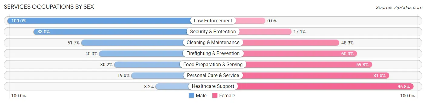 Services Occupations by Sex in Decatur County