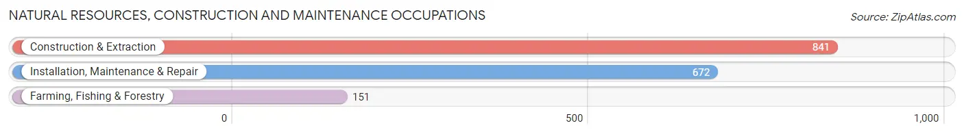 Natural Resources, Construction and Maintenance Occupations in DeKalb County