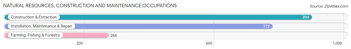 Natural Resources, Construction and Maintenance Occupations in Gibson County