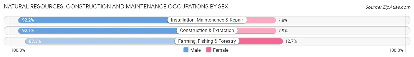 Natural Resources, Construction and Maintenance Occupations by Sex in Huntington County