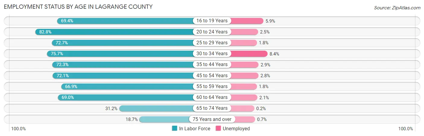 Employment Status by Age in LaGrange County