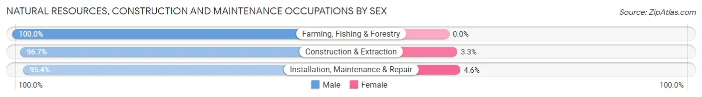 Natural Resources, Construction and Maintenance Occupations by Sex in Lawrence County