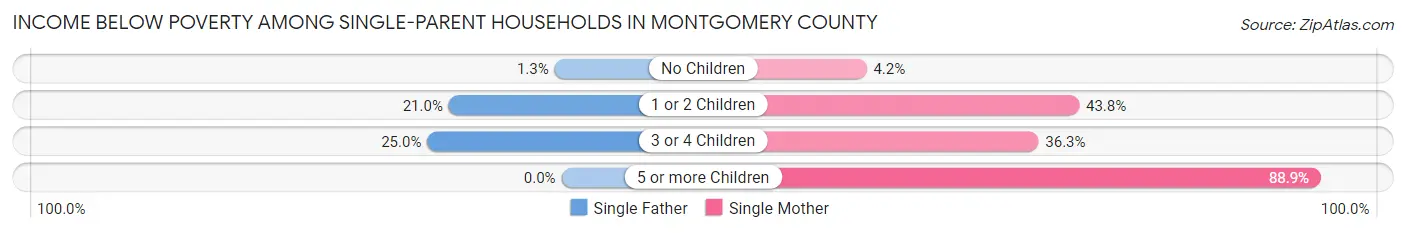 Income Below Poverty Among Single-Parent Households in Montgomery County