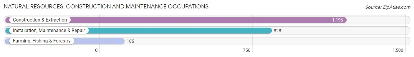 Natural Resources, Construction and Maintenance Occupations in Montgomery County