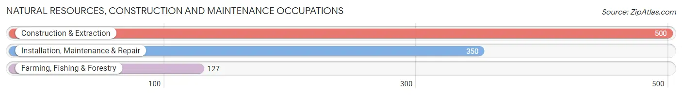 Natural Resources, Construction and Maintenance Occupations in Newton County