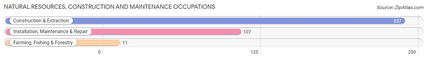 Natural Resources, Construction and Maintenance Occupations in Ohio County