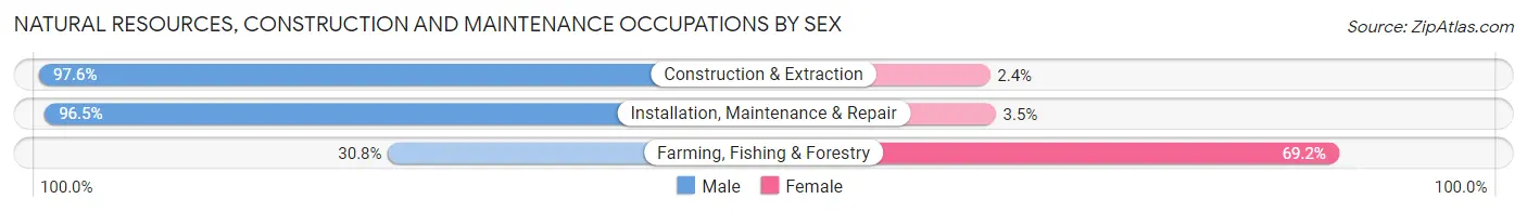 Natural Resources, Construction and Maintenance Occupations by Sex in Perry County