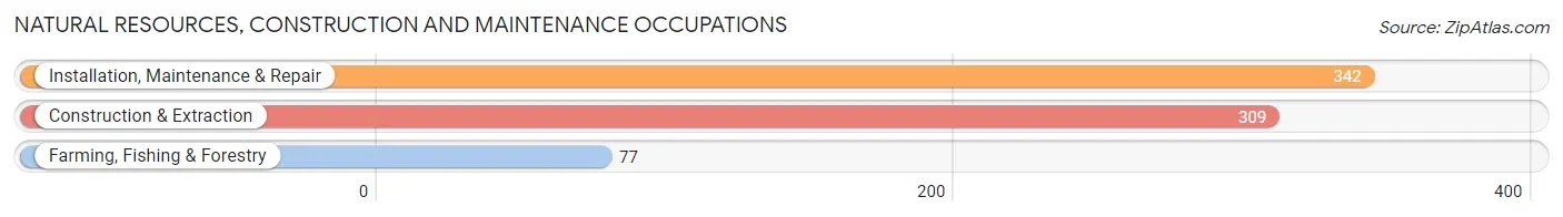 Natural Resources, Construction and Maintenance Occupations in Pike County