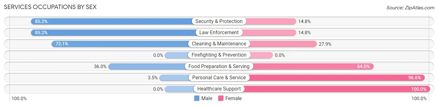 Services Occupations by Sex in Pulaski County