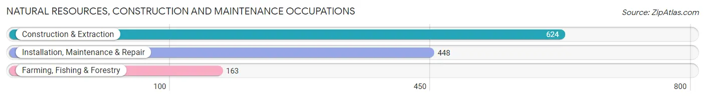 Natural Resources, Construction and Maintenance Occupations in Randolph County