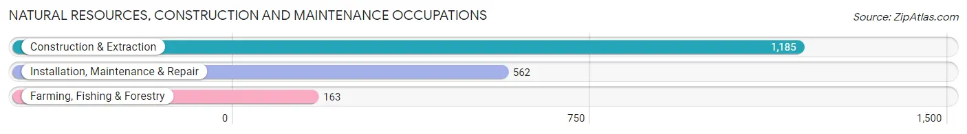 Natural Resources, Construction and Maintenance Occupations in Ripley County