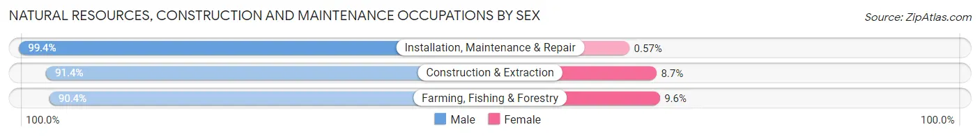 Natural Resources, Construction and Maintenance Occupations by Sex in Spencer County