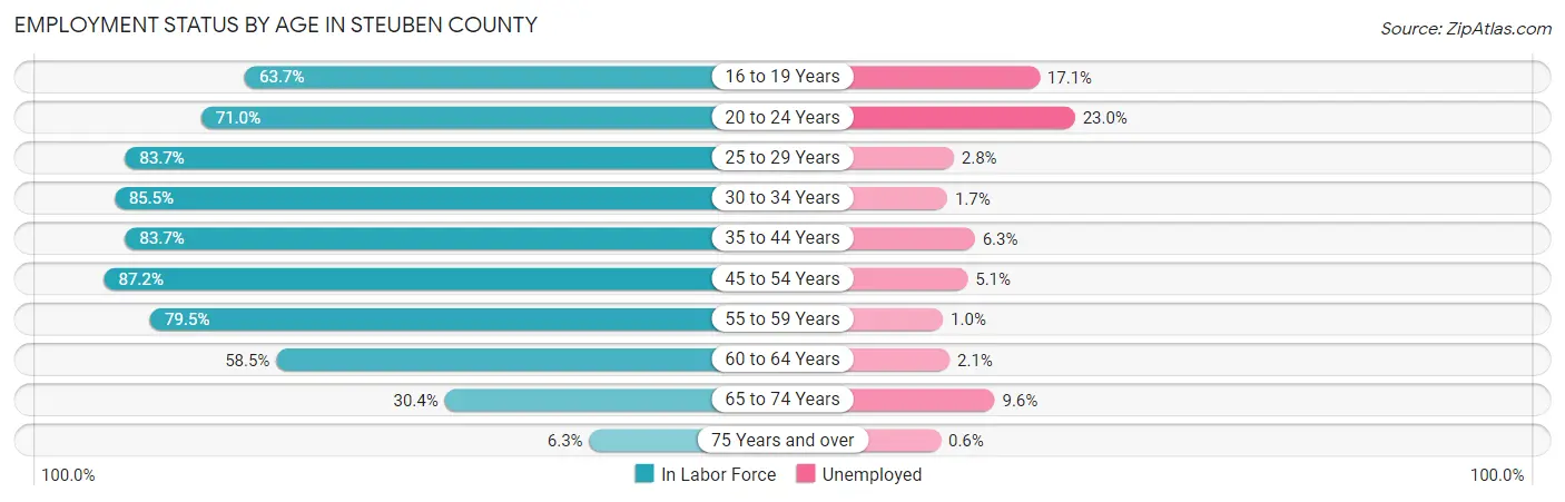 Employment Status by Age in Steuben County