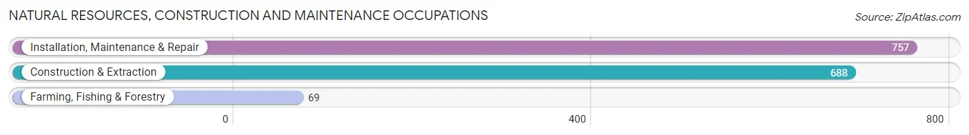 Natural Resources, Construction and Maintenance Occupations in Steuben County