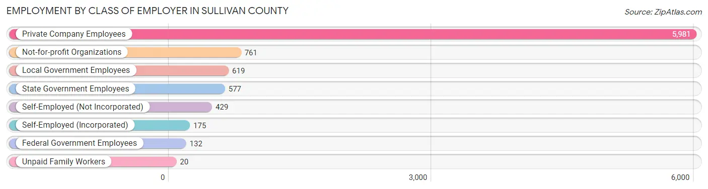 Employment by Class of Employer in Sullivan County