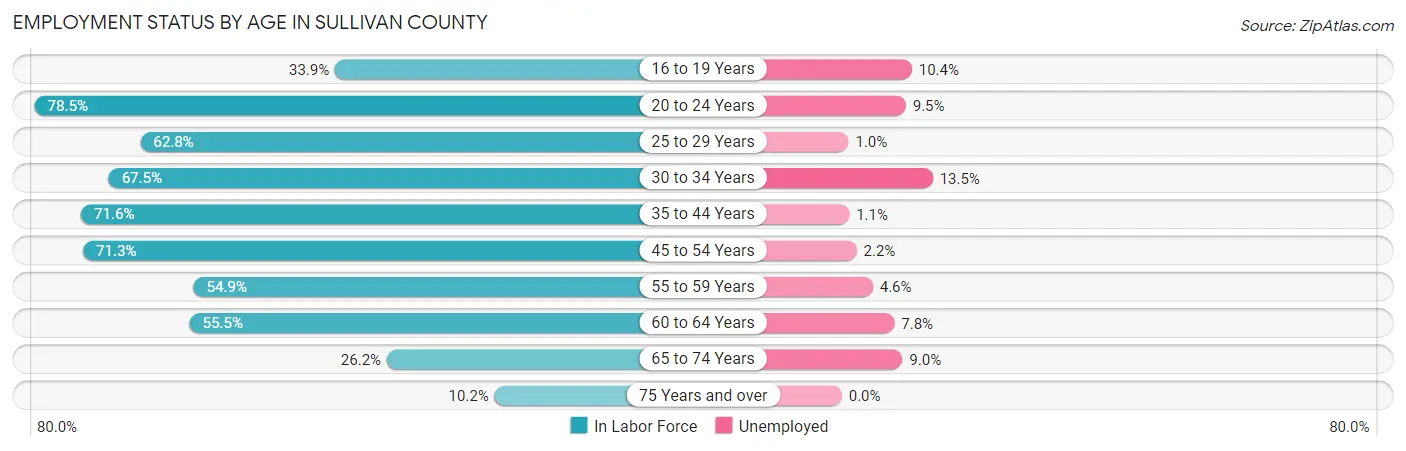 Employment Status by Age in Sullivan County