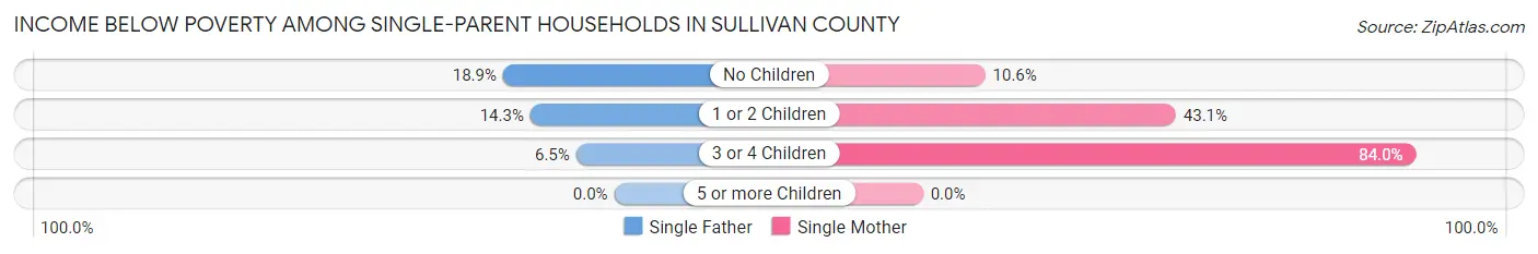 Income Below Poverty Among Single-Parent Households in Sullivan County