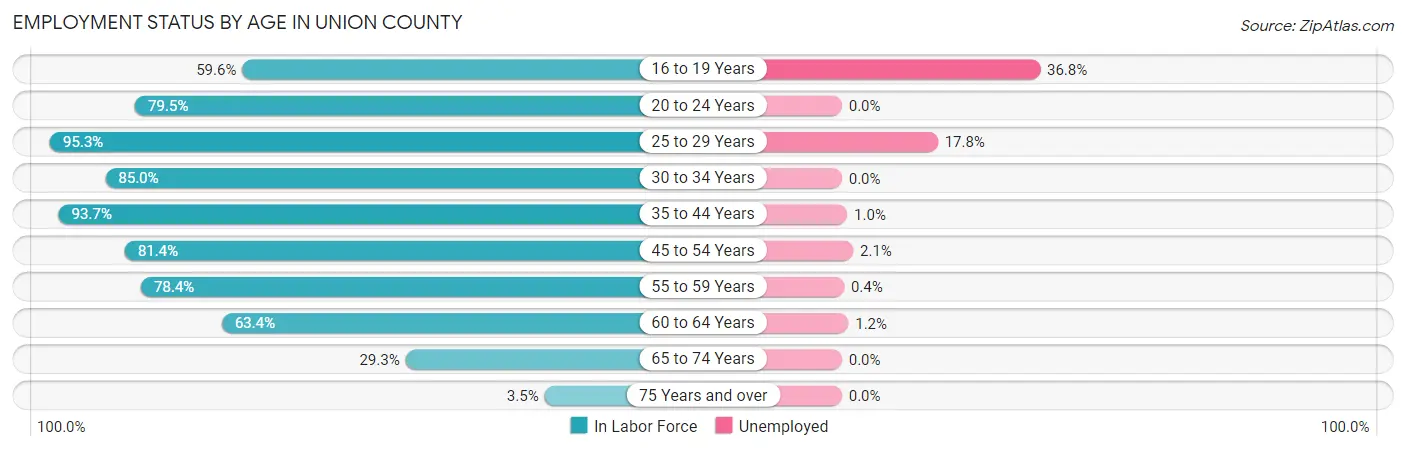 Employment Status by Age in Union County