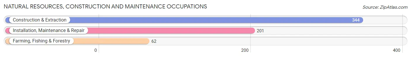 Natural Resources, Construction and Maintenance Occupations in Warren County