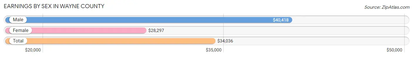 Earnings by Sex in Wayne County