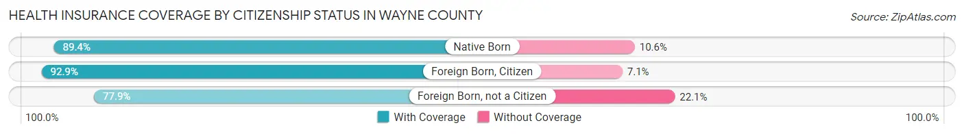 Health Insurance Coverage by Citizenship Status in Wayne County