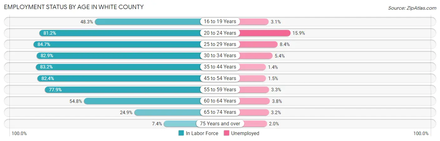 Employment Status by Age in White County