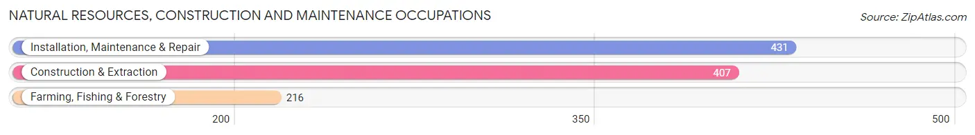 Natural Resources, Construction and Maintenance Occupations in White County