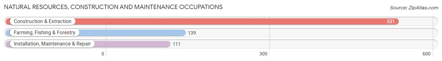 Natural Resources, Construction and Maintenance Occupations in Atchison County