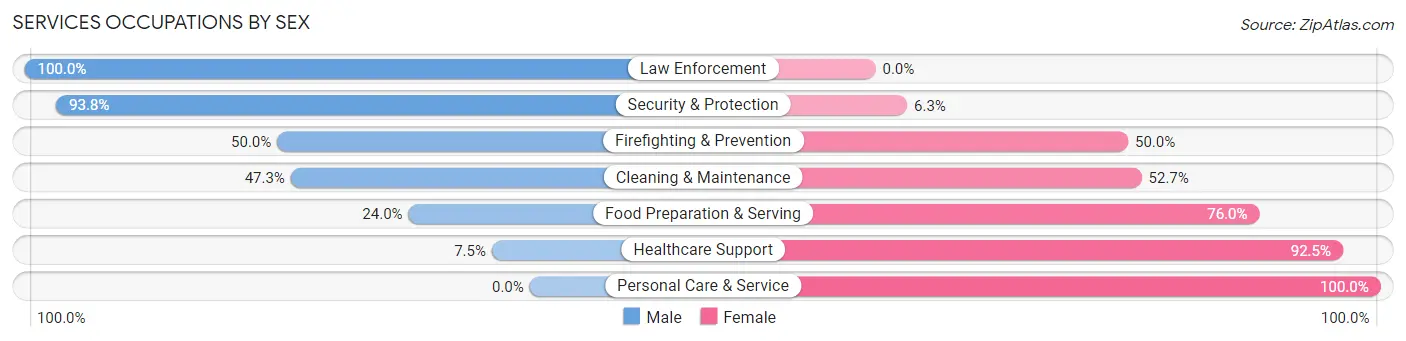 Services Occupations by Sex in Chautauqua County