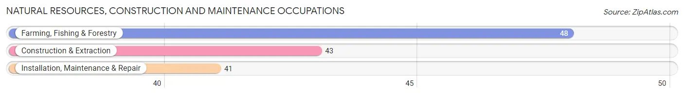 Natural Resources, Construction and Maintenance Occupations in Clark County