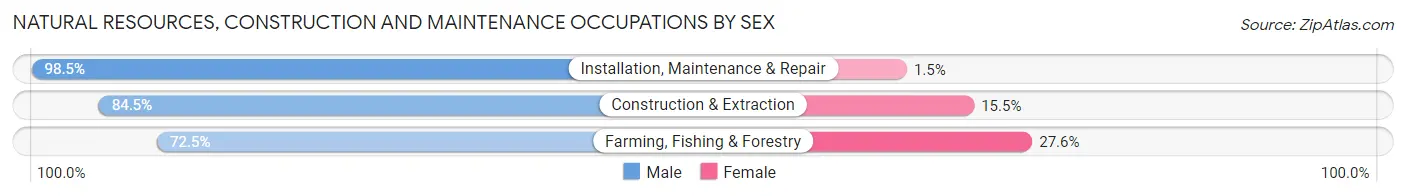 Natural Resources, Construction and Maintenance Occupations by Sex in Cloud County