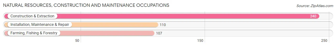 Natural Resources, Construction and Maintenance Occupations in Greenwood County