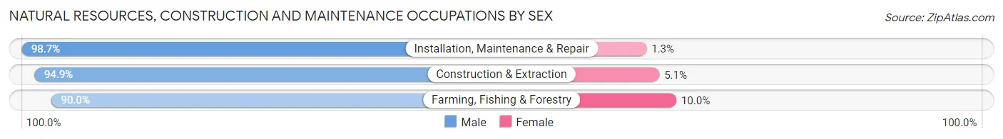 Natural Resources, Construction and Maintenance Occupations by Sex in Kingman County