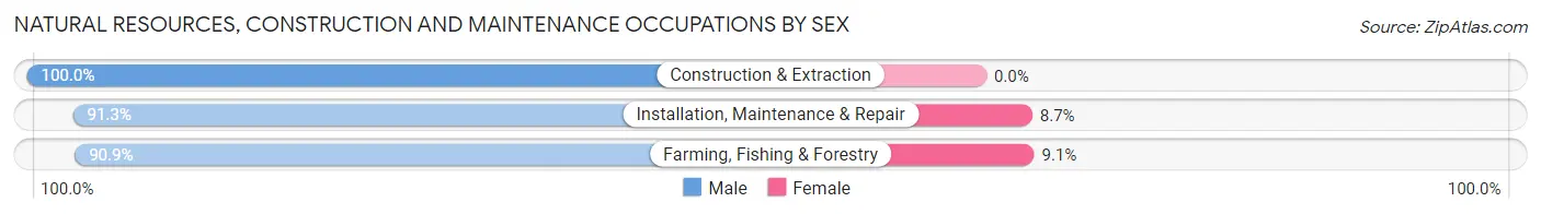 Natural Resources, Construction and Maintenance Occupations by Sex in Rush County