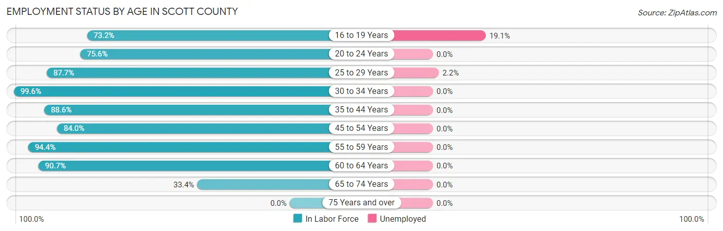 Employment Status by Age in Scott County