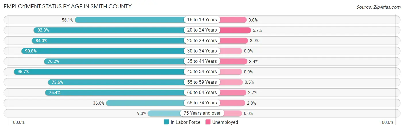 Employment Status by Age in Smith County